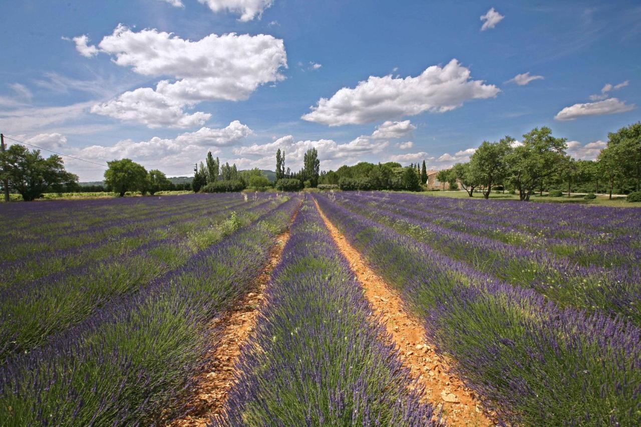 Gites Dans Mas En Pierres Robion en Luberon Eksteriør bilde